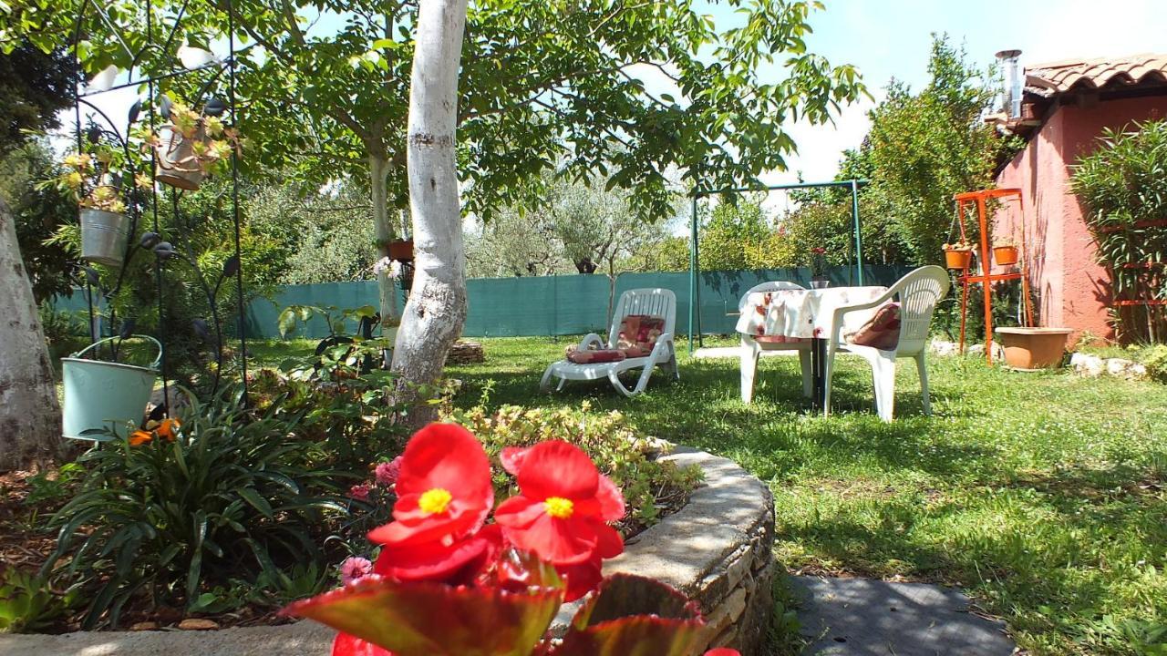 Casa Terren Grande Villa Rovinj Dış mekan fotoğraf